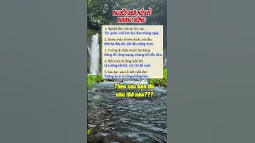 Người xưa nói về nhân tướng con người #caunoihay #trietlysong #danhngon #baihoccuocsong