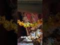 Ayyappa Swamy #ytshorts #shortvideo #shorts #ayyappa #ayyappan #devotional #ayyappaswamy #padipooja