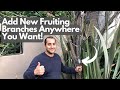 How to create new branches on your tree with grafting