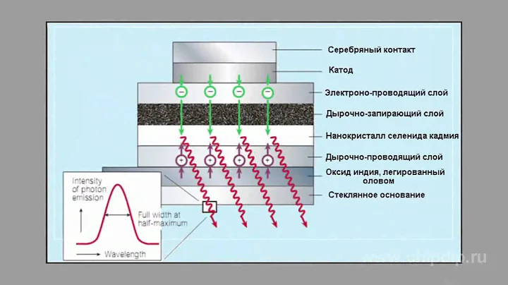 Quantum dot LEDs