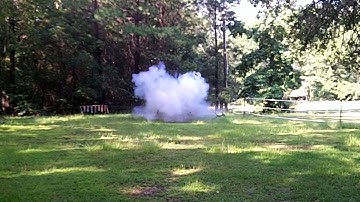 Sure Shot vs. Tree Limb