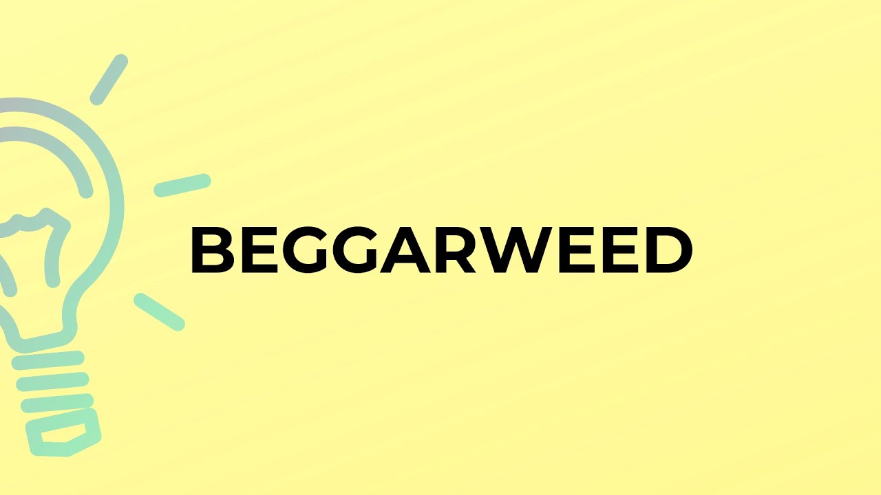 What is the meaning of the word BEGGARWEED?