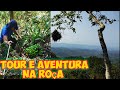 TOUR E AVENTURA NA ROÇA/COLHEITA DE BANANAS E JABUTICABAS/Bora pra Roça?