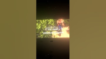 تلاوة عذبة مؤثرة من سورة يوسف 😴🤍#قران_كريم #سورة_يوسف #تلاوة_مميزة fyp #quran #foryou #