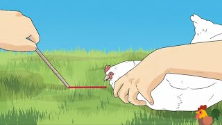 How to hypnotize hen ?