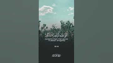 قران كريم #قران_كريم #اكسبلور #السعودية #quran #لايك #راحة_نفسية #حالات_واتس
