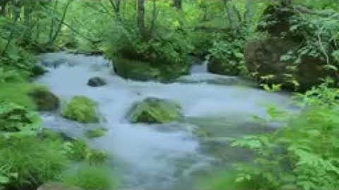 Nhạc thư giãn cùng tiếng suối chảy và tiếng chim hót cực hay ★2 144p