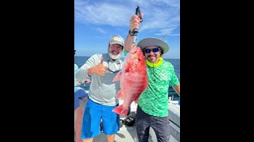 Red Snapper Season Collage. Post your pics in the comments below! #redsnapper