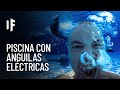 ¿Qué pasaría si cayeras en una piscina llena de anguilas eléctricas?