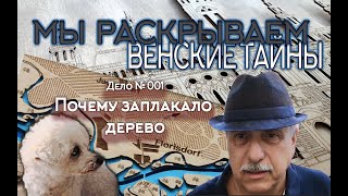 Мы Раскрываем ТАЙНЫ Вены.  Дело №001 . &quot; Почему заплакало дерево&quot;