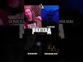 Pantera en 4 canciones 🖤🤟🏻 #panteraband #metalhead #metalmusic #metalband #metalbands #philipanselmo