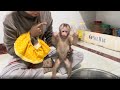 Baby monkey Bella so adorable