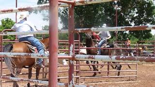 Buck &amp; Smoke 22 second run,   Missouri Foxtrotter Spring Show 2019