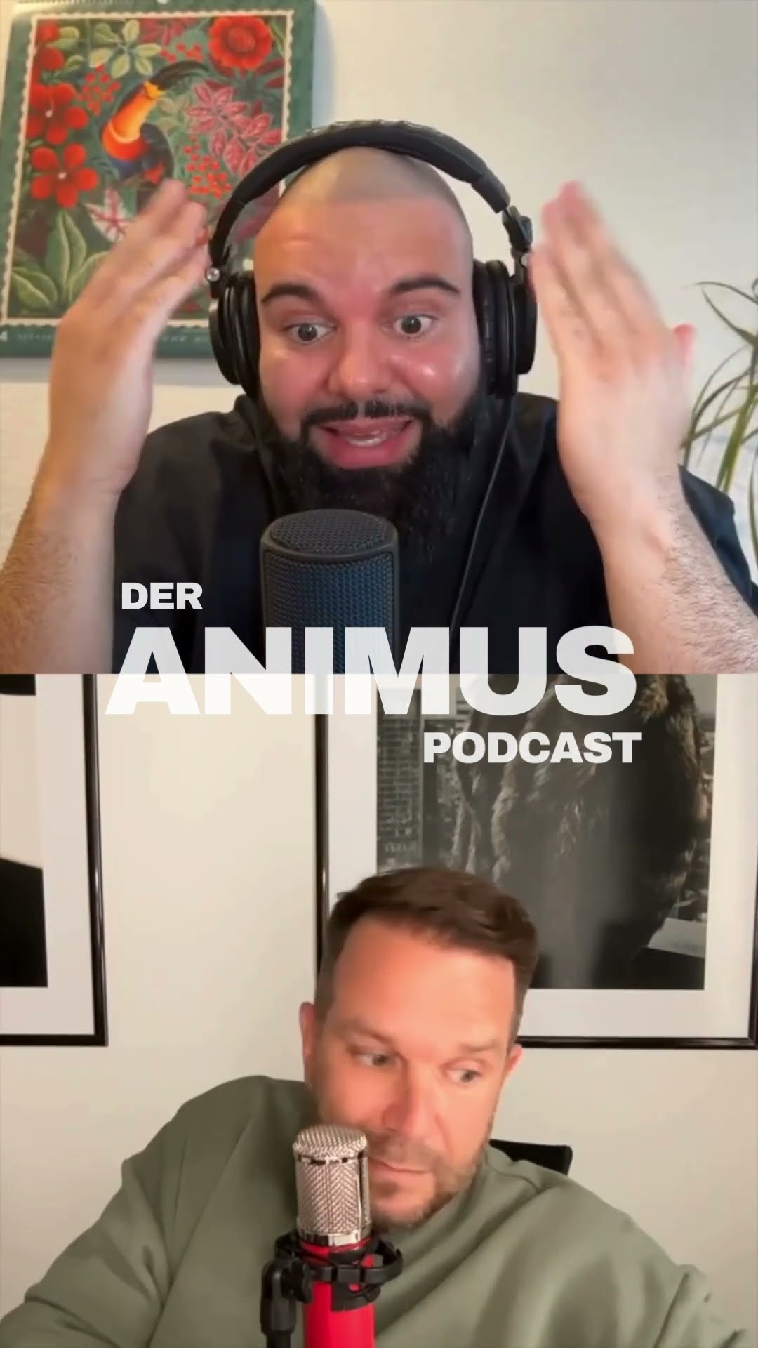 ANIMUS - 4 MINUTEN EXCLUSIVE