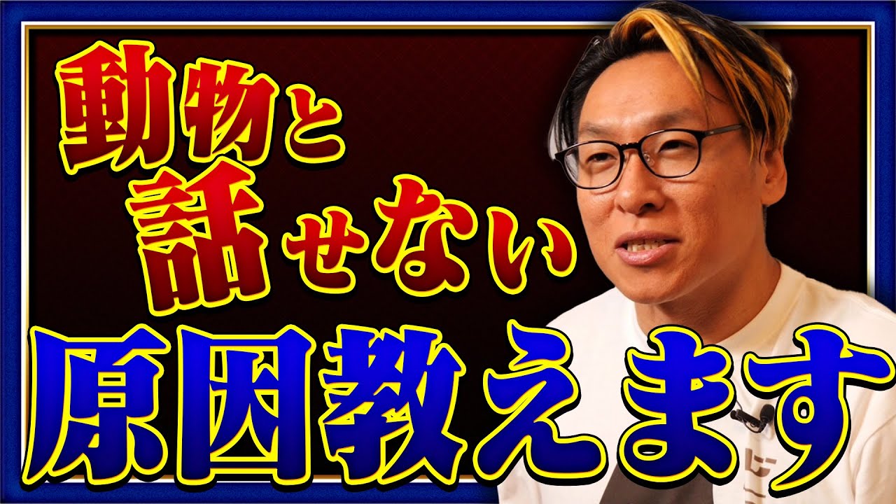 【超有料級】動物と話せるようになる禁断の7つのビタミンとは