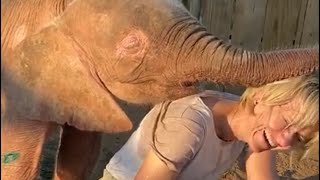 Memories of an Elephant Childhood with Khanyisa & Adine