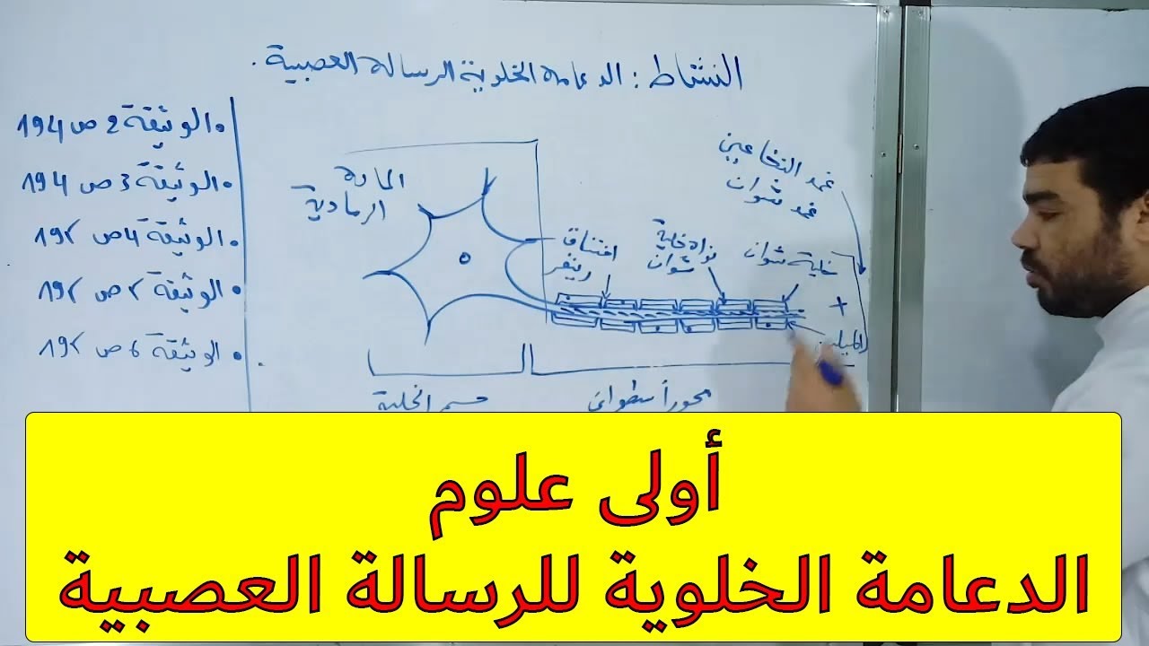 الدعامة الخلوية للرسالة العصبية (الجزء 2) [النشاط 46]