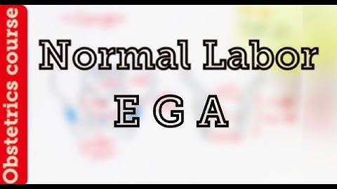 Obsetertics course : Estimated Gestational age