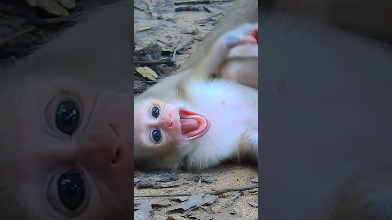 Oh Omg...😱 What happened to baby Lexi? 😲😨😰 