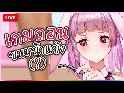 🔴LIVE | พี่จ๋าขอถอนขนหน่อย [おけけぬき] | LAPINE 🌛