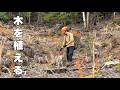 #68 木こりになって初めての植林の仕事 | 森と小暮らしVlog