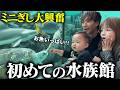 家族でミニぎしにサプライズで水族館に連れて行ったら反応が可愛すぎて最高だった