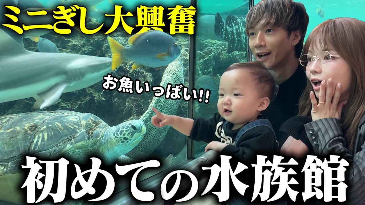 家族でミニぎしにサプライズで水族館に連れて行ったら反応が可愛すぎて最高だった