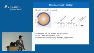 Jan Philipp Junker (MDC): Quantitative biology of developmental pattern formation