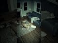 My dog always does that!
