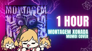 1 Hour || Montagem Xonada || momoi cover (loop).