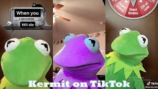 Best Kermit on TikTok 2022 | Funny Kermit The Frog TikTok Video Compilation