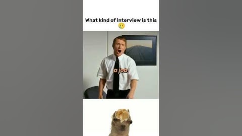 This Job interview should be illigal 🤣 #funny #memes
