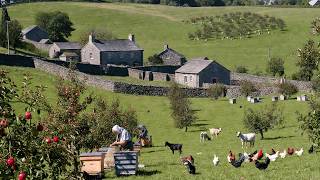 Peaceful Country Life In England  Harvesting Stock Farming And Simple Farm Life