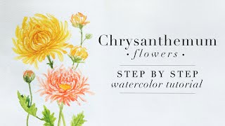 Chrysanthemum Flowers: Step by Step Watercolor Tutorial