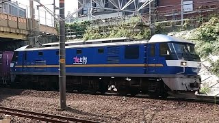 ●20200909 EF210形 通過 @金山