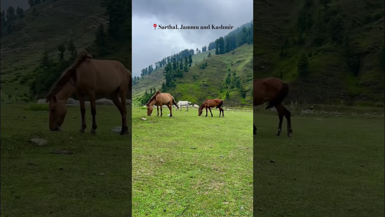 Beautiful Sarthal Valley Kathua, Jammu and Kashmir | 