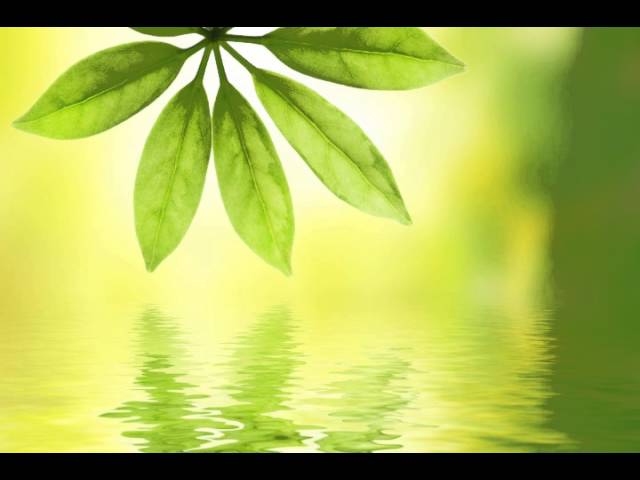 Green Dream Meditation for SLEEP - YouTube Green Dream Meditation for SLEEP - YouTube