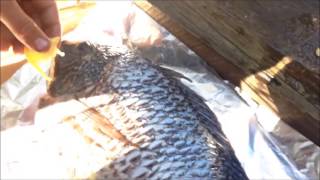 EP 1 SPEARFISHING TILAPIA Catch n Cook And TURTLE CATCH TDK