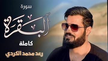 لأول مرة تلاوة مرئية لسورة البقرة كاملة | بالترتيل السريع-الشيخ رعد الكردي| ‏🔺ᴏғғɪᴄɪᴀʟ ᴄʜᴀɴɴᴇʟ ‏