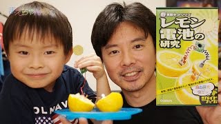 【夏休み自由研究】レモン電池の研究　NEW 実験キットシリーズ Gakken