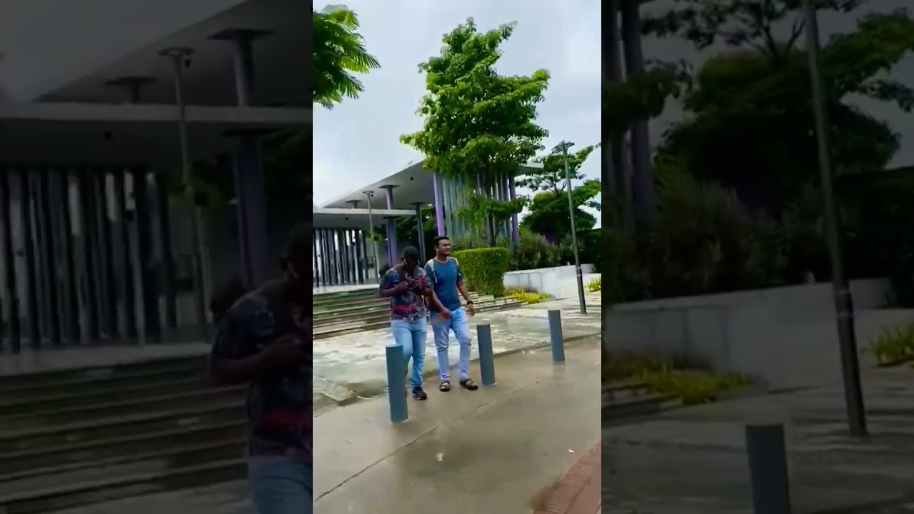 What a beautiful Greenery 💚🥰@Misty shorts