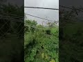 Organic modern farming #shorts #short #shortsvideo