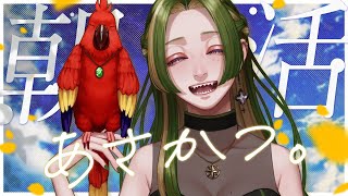 葉摘 煎茶 / Hadumi Senchaの配信のサムネイル画像