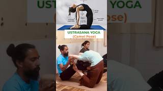 Camel pose ustrasana yoga back bending workout