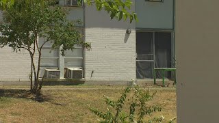 Families at Oak Cliff apartment complex fight for liveable conditions