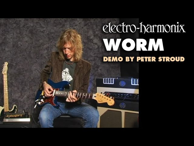 Гитарный процессор эффектов Electro-harmonix Worm