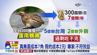 台灣年吃5億顆鳥蛋網傳有假的? 專家揭秘中視新聞20180309 