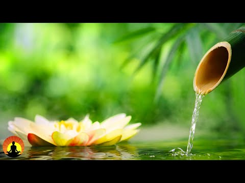 🔴 Relaxing Music 24/7, Stress Relief Music, Sleep Music, Meditation Music, Study, Calming Music