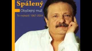 Petr Spálený -  Obyčejný muž