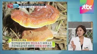 몸에 좋다고 유명한 영지버섯! 그 효능은? 닥터의 승부 110회